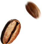 Coffee-Beans