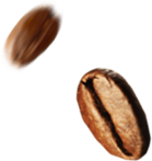 Coffee-Bean