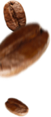 Coffee-Beans