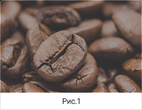 coffee-bean-icon-480px